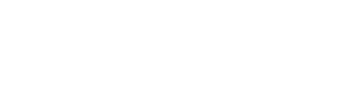 Arsalan N